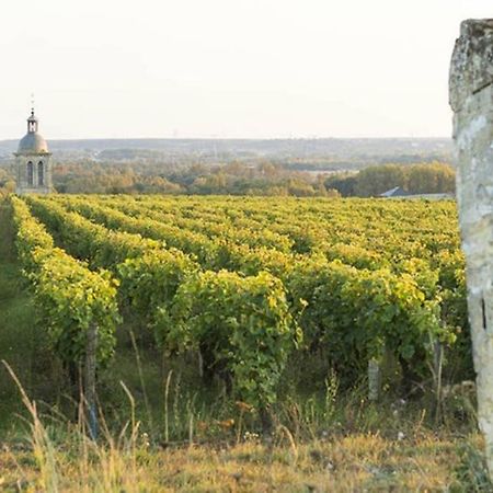 Studio Au Coeur Des Vignes Appartement Montlouis-sur-Loire Buitenkant foto