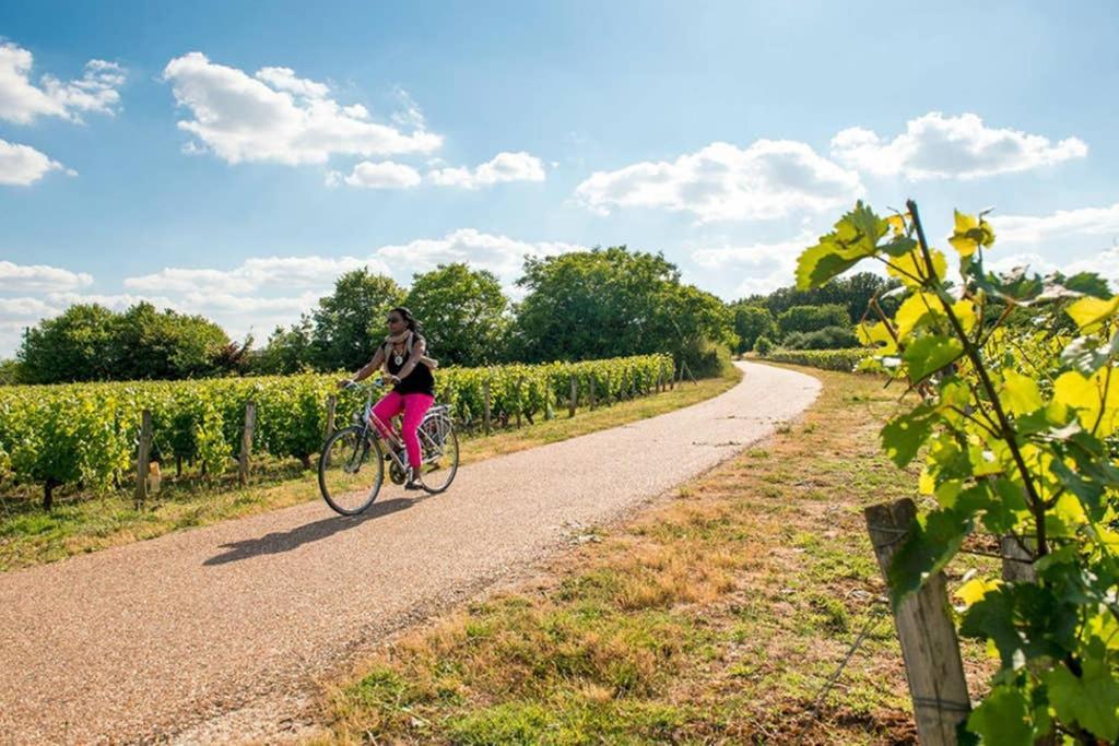Studio Au Coeur Des Vignes Appartement Montlouis-sur-Loire Buitenkant foto